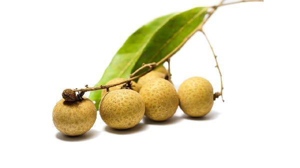 桂圆这样吃从此和失眠说再见 每晚都够倒头就睡 桂圆这样吃从此和失眠说再见 每晚都够倒头就睡