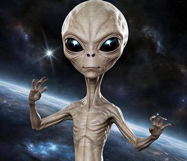 �����6������Ԥ�ԣ���3����������