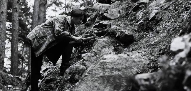 ���Ƕ���ս���վ���ͷ�۵��̽��ޣ�������