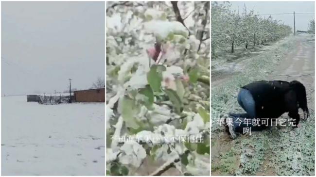 �������ͻ����ѩ ũ����ߡ�û��·�ˡ�