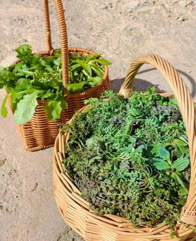 �e���� ȫ������Ұ�ˡ������^��ʡ������