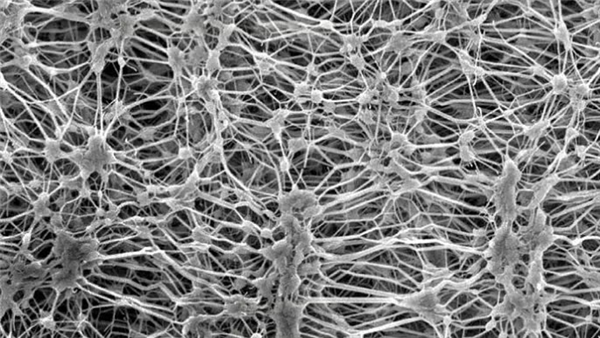 你身上的冲锋衣，可能正在毒害全人类