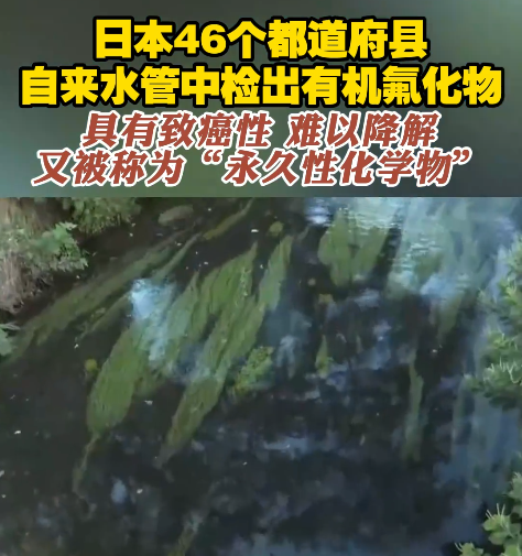 你身上的冲锋衣，可能正在毒害全人类