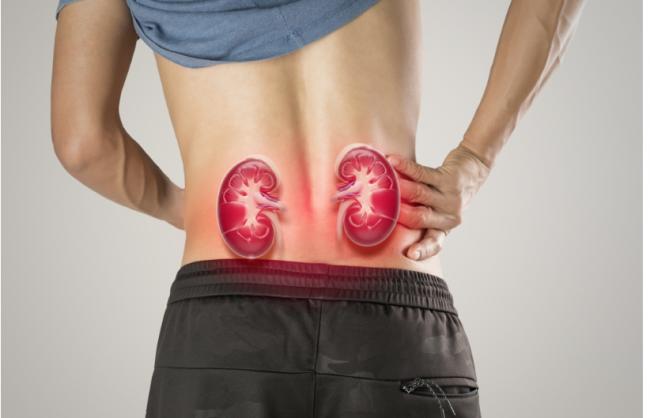 40岁男肾脏如80岁 1物戒吃3个月 肾功能大跃进