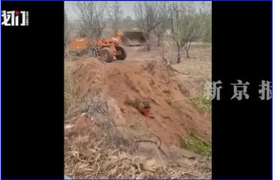 ɽ��ԭ��֧���ò���������� ��ȫ����ŭ