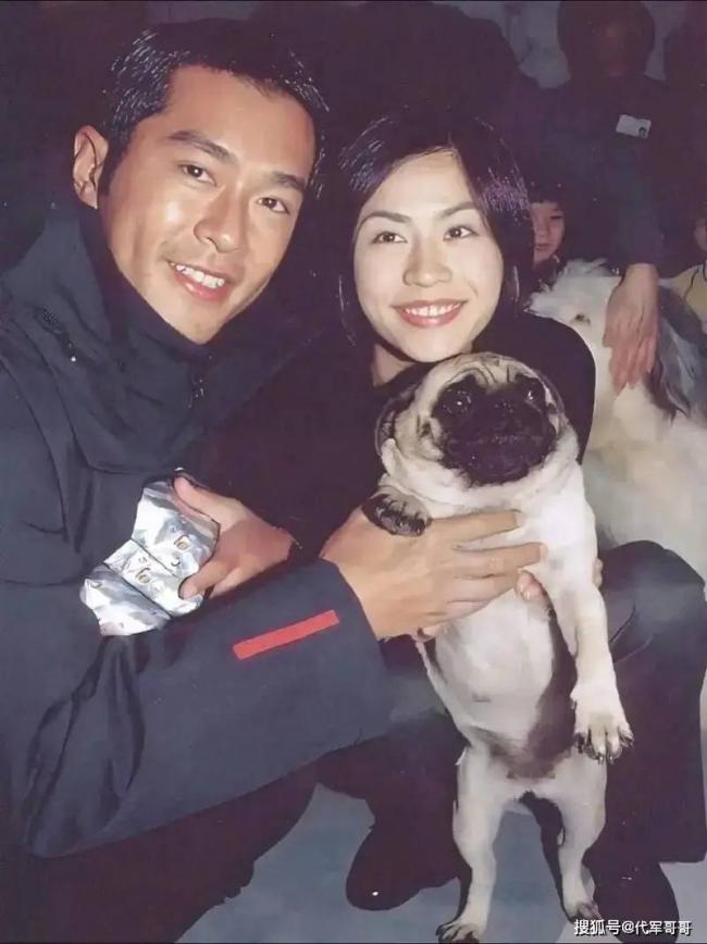 55�����治���Ҳ�����ͣ�����������è��