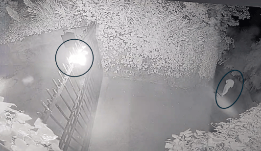 ���ǰ�ɱ���ϻƴ�5�����ڣ�����������Ϊ����