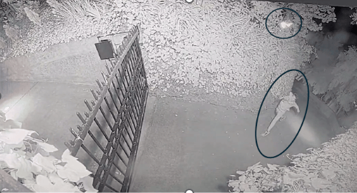 ���ǰ�ɱ���ϻƴ�5�����ڣ�����������Ϊ����