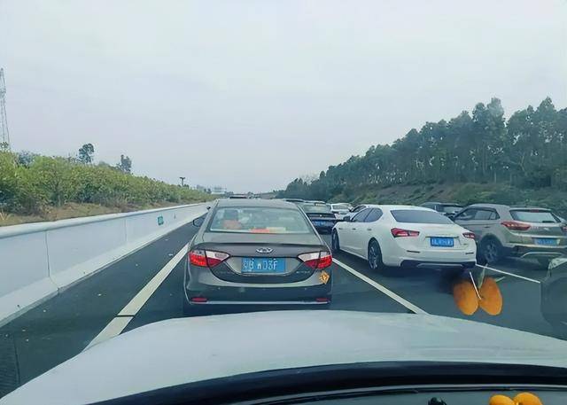 Ϊʲô��һ���ٱض³�������ԭ��ܶ��˶����