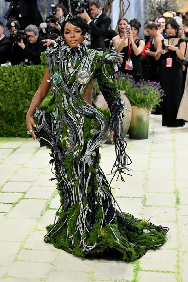 ��̺���ں����� 2026 Met Gala