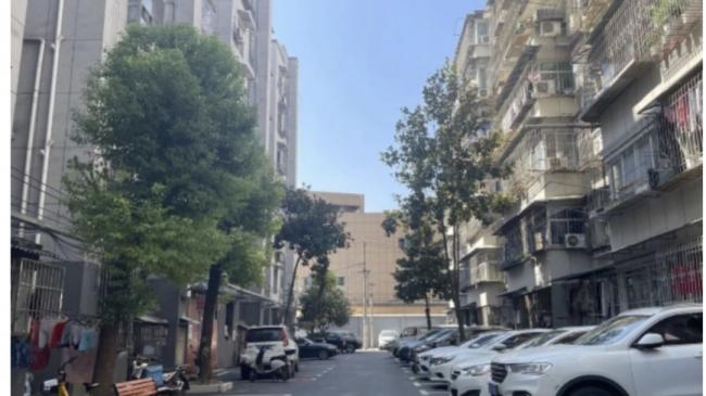 ���Ҫ��Ա����ְ��Ա��ͷ���������