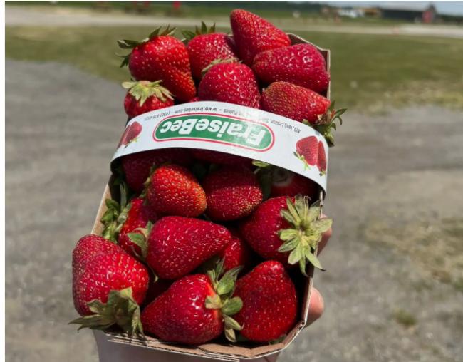 �й�����������һֱ�ܺ��º��⻪�����Ⱥ�塱