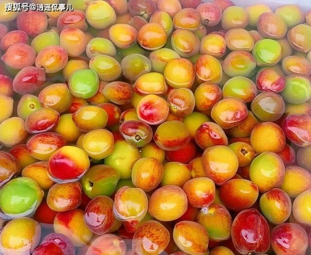 “毒桃” 曝光！全是科技狠活 专坑中国人
