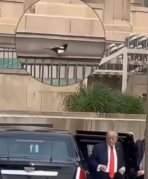�����³�ͻ����ϲȵ    �����й���������
