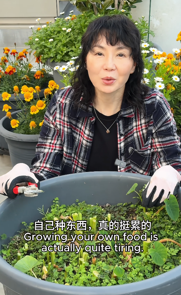 张曼玉香港豪华天台曝光,法国的花园更大气 张曼玉香港豪华天台曝光,法国的花园更大气