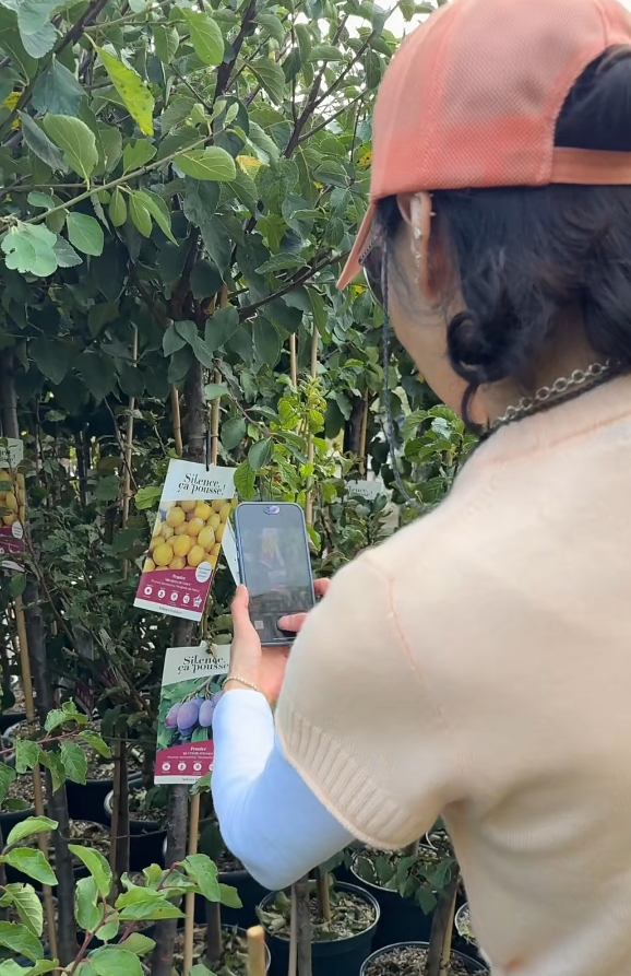 张曼玉香港豪华天台曝光,法国的花园更大气 张曼玉香港豪华天台曝光,法国的花园更大气