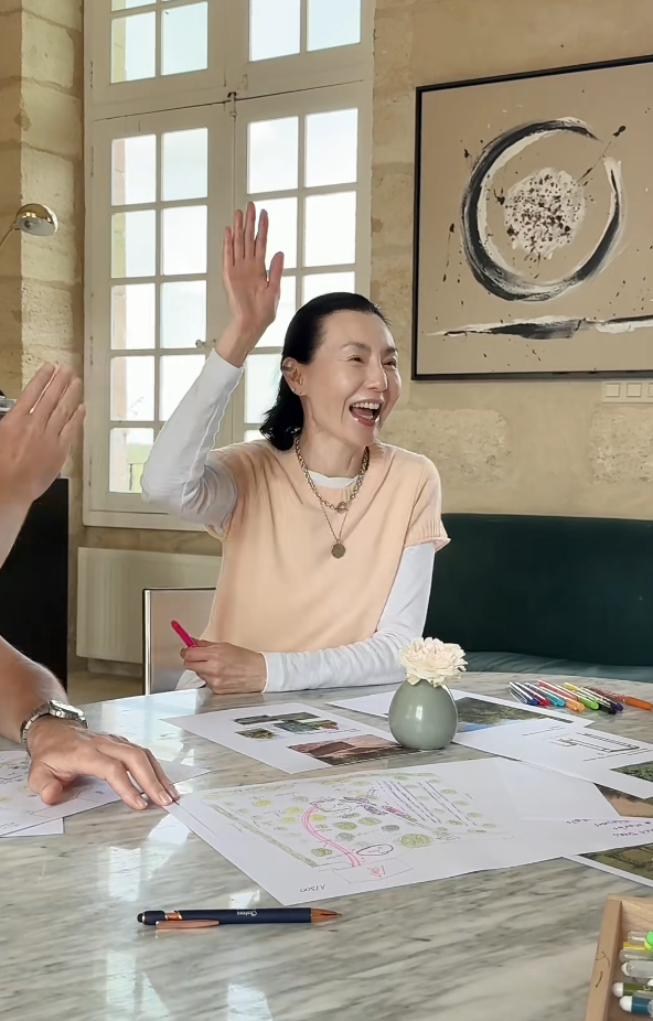 张曼玉香港豪华天台曝光,法国的花园更大气 张曼玉香港豪华天台曝光,法国的花园更大气