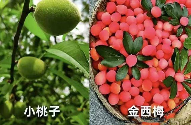 ��8000����ζ������ˮ�������� ���ˣ��Ҳ��ҳ�