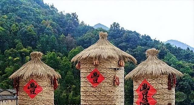 中国南方“菇类村”：女性衣着开放 母系社会