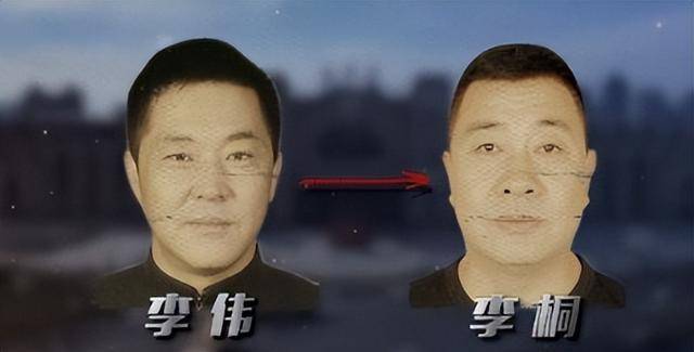 豪车百辆现金10亿,中国电力3兄弟落网 豪车百辆现金10亿,中国电力3兄弟落网