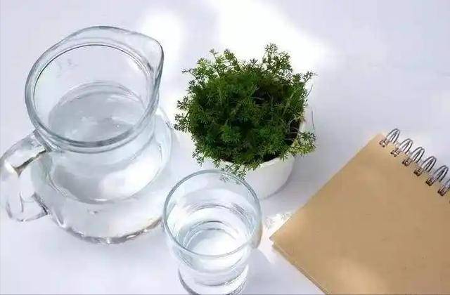 长沙女子9年狂喝3000杯奶茶,悲剧发生了 长沙女子9年狂喝3000杯奶茶,悲剧发生了