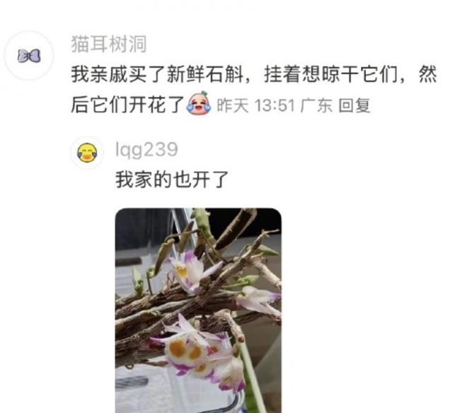 “要长腮了” 中国多省湿度异常 超亚马逊雨林 “要长腮了” 中国多省湿度异常 超亚马逊雨林