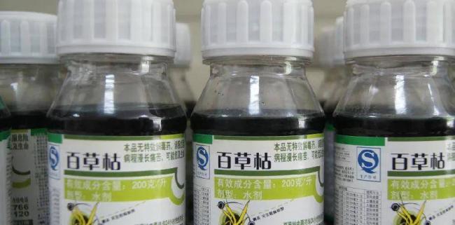 女儿喝百草枯丧命,百草枯发明者如今怎样了 女儿喝百草枯丧命,百草枯发明者如今怎样了