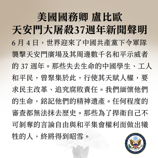 �������䷢���������������� �������벻��