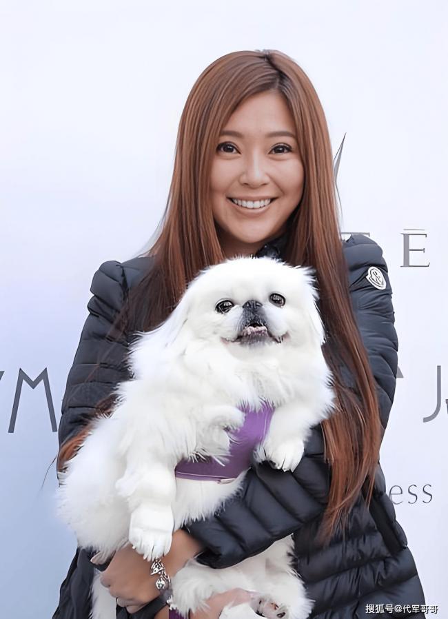 从最美郭芙到豪门弃妇 她如今尽情享受单身生活 从最美郭芙到豪门弃妇 她如今尽情享受单身生活