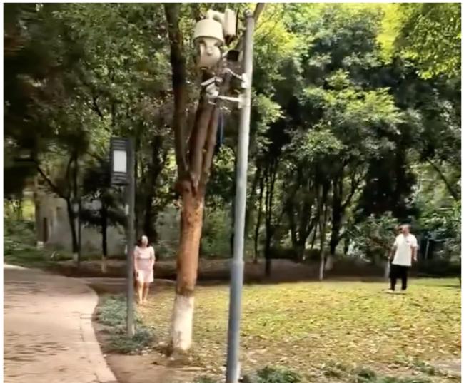 多地连爆惨剧，中国基层失控引关注