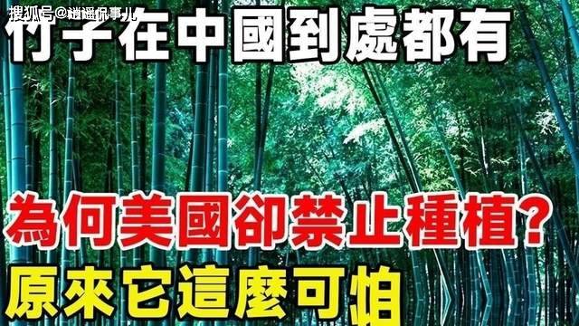 ��Ϊ�δ��ģ�������ӣ�ԭ�����ӱ�����ĸ�����