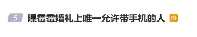 霉霉婚礼上 她是唯一被允许带手机的人 霉霉婚礼上 她是唯一被允许带手机的人