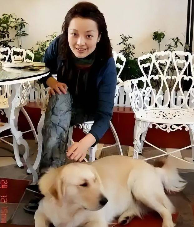 这一次,75岁的张纪中彻底沦为了笑话 这一次,75岁的张纪中彻底沦为了笑话