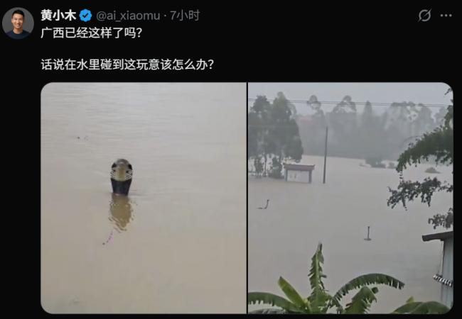 �ֲ���������ֳ������� �����۾�������