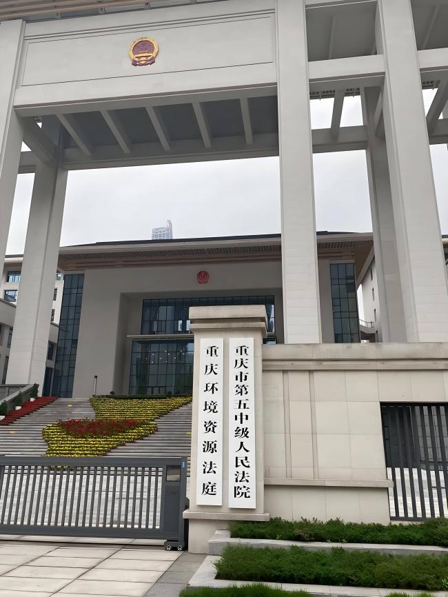 曾包养16名男宠的她已减刑出狱 女儿是演员
