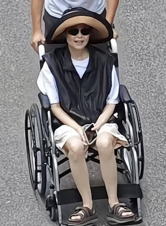 袁立坐轮椅回归!九死一生,狠打造谣者的脸 袁立坐轮椅回归!九死一生,狠打造谣者的脸
