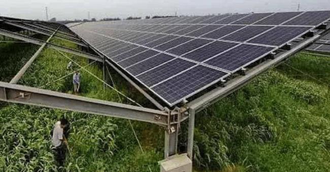 中国陷入光电陷阱？农民怒骂光伏骗局