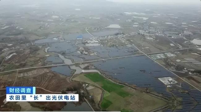 中国陷入光电陷阱？农民怒骂光伏骗局