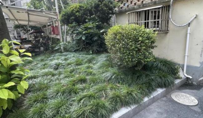 上海黄鼠狼 专往私家车里钻 啃线路放臭屁 上海黄鼠狼 专往私家车里钻 啃线路放臭屁
