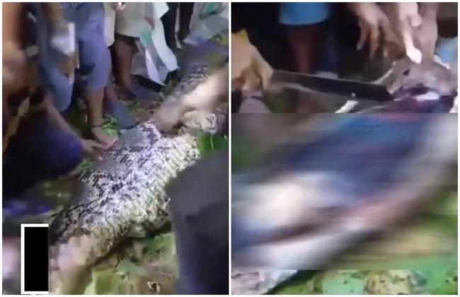 ����ʧ�� �������ʿһ����ľ�������