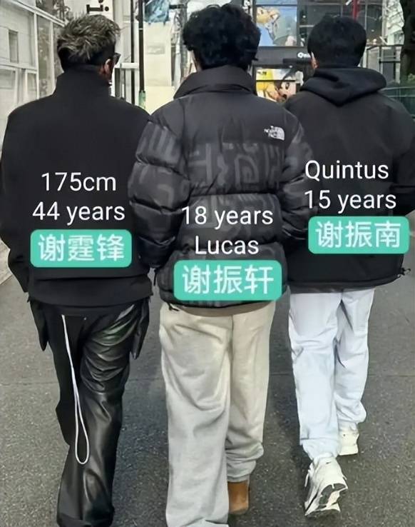 亲儿子不亲、王菲闺女不认,谢霆锋处境太尴尬 亲儿子不亲、王菲闺女不认,谢霆锋处境太尴尬