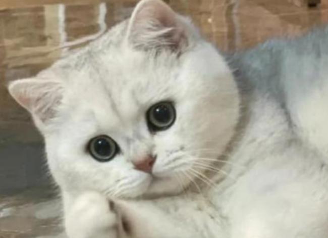 Ϊʲôèһ�۾����ϳ������ˡ�