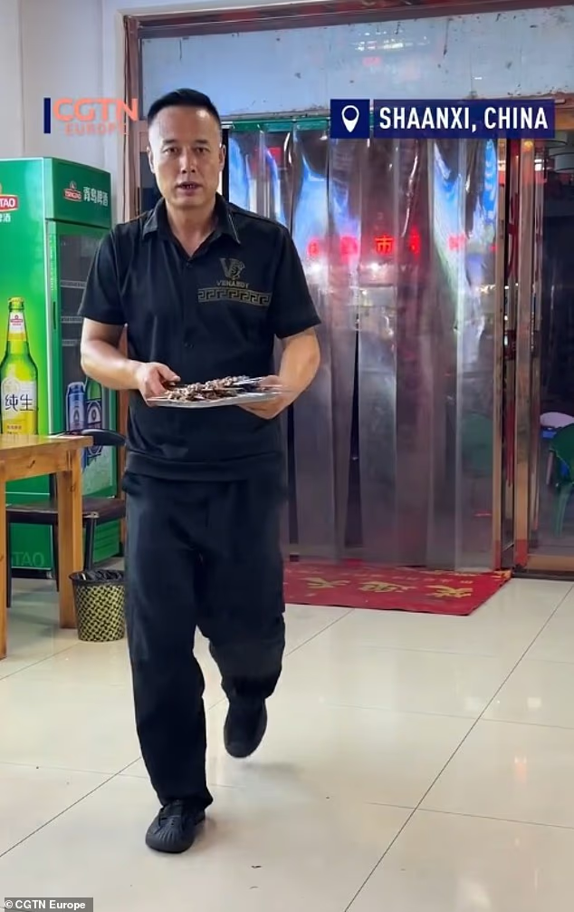 �����տ��ϰ�ײ����˹�� ��������  ������