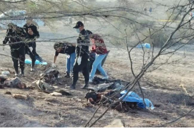 小飞机坠毁！13人全罹难 现场焦黑 仅寻回4遗体
