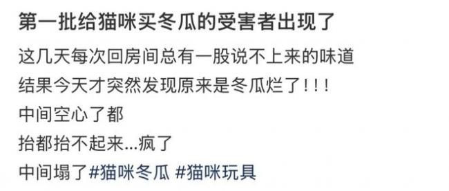 “抱冬瓜睡觉”走红中国 瓜突然炸了… “抱冬瓜睡觉”走红中国 瓜突然炸了…