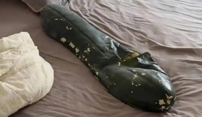“抱冬瓜睡觉”走红中国 瓜突然炸了… “抱冬瓜睡觉”走红中国 瓜突然炸了…