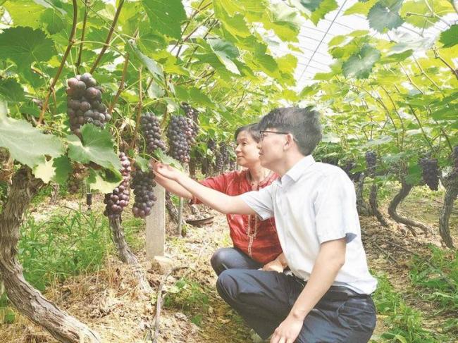 那个被沙漠包围的小县城,如今现状如何 那个被沙漠包围的小县城,如今现状如何