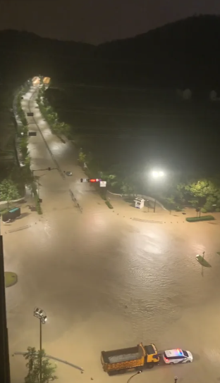 白海豚重创华东！多地成汪洋 传死数百人
