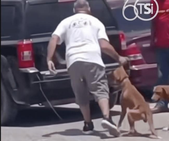 车绑铁链拖狗行 揪耳塞车尾箱引公愤 下场惨了 车绑铁链拖狗行 揪耳塞车尾箱引公愤 下场惨了