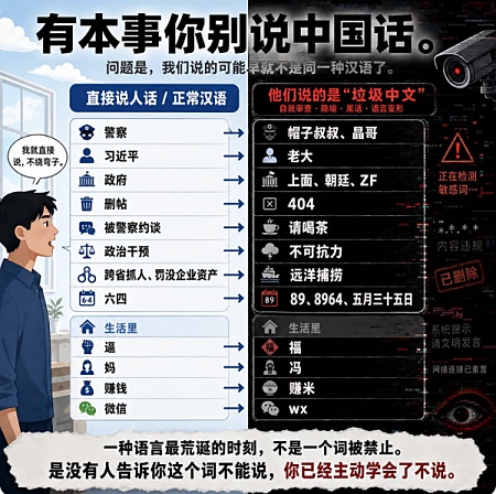 中国博主躲避审查 晒直播“黑话”引热议